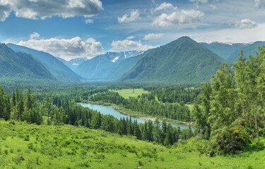 Picturesque mountain valley on a sunny summer day, wild river
