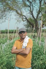 A young man working in vegetable field. (tomato field).selective focus, shallow depth of field, follow focus, or blur
