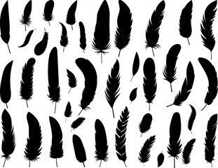 set of feathers birds silhouette vector