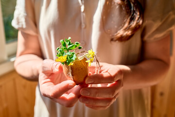 Easter home decoration. Woman's hands holding egg shell with small wildflowers as easter decoration.Easter floral arrangement.