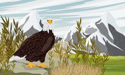 A bald eagle sits on a rock in a mountain valley. Wild birds of prey in winter. Realistic vector landscape
