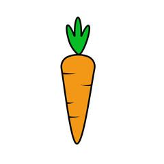 carrot colorful icon