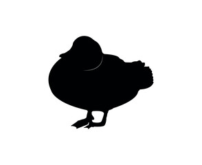 Vector flat duck silhouette isolated on white background