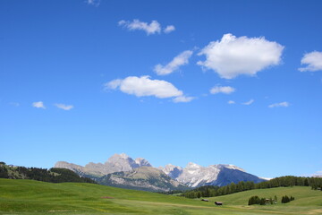 Fototapeta na wymiar Seiser Alm in Südtirol , Italien, Europa im Sommer, wunderschöne Landschaft zum Wandern und Relaxen 