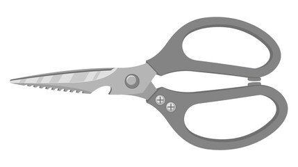 Silver kitchen scissors. Isolated on white background