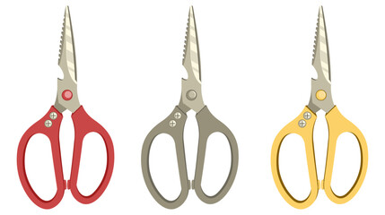 Kitchen scissors. Isolated on white background