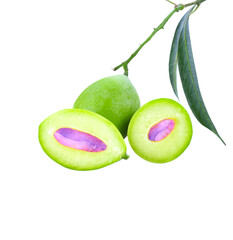 Marian Plum, (Bouea macrophylla Griffith).transparent png