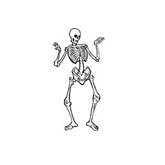 Drawn in ink hand drawn skeleton dance. flyer design. Engraved isolated art. Use for print. Vector eps 10