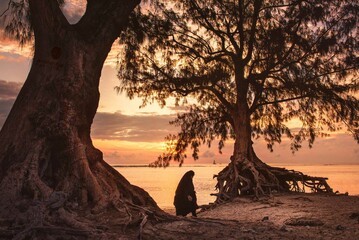 muslim sunset