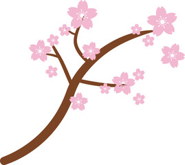 Beautiful pink Sakura Cherry Blossom illustration.