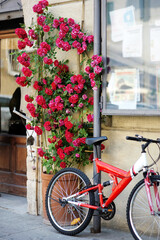 Red bicycle and blooming roses on old street of the famous Pitigliano town. Beautiful italian towns...