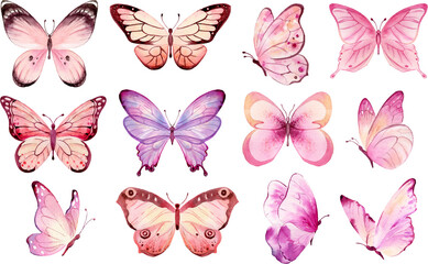 Pink butterfly Watercolor illustration. Butterflies clipart set. Spring or summer decoration © Nataliya Kunitsyna
