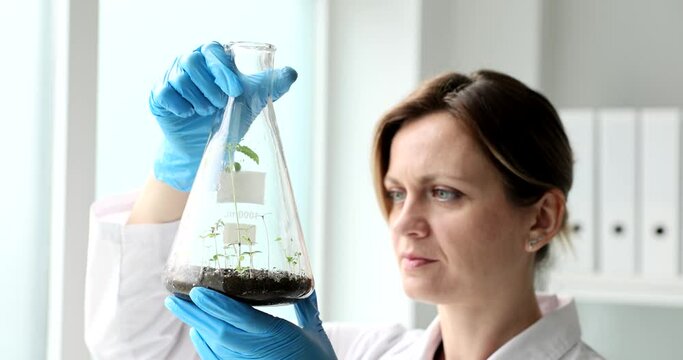 Woman scientist botanist carefully looks at sprouts of green plants in flask in laboratory