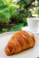 Delectable Puffy French Croissant with Coffee at the Yard