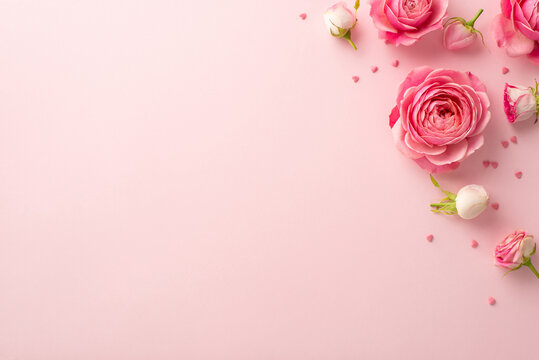 Mother's Day concept. Top view photo of pink peony roses and sprinkles on isolated pastel pink background with empty space