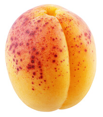 Single apricot fruit without leaf isolated on transparent background. Full depth of field.