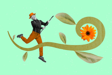 Collage photo of funny boyfriend gentleman wear classic clothes hold stick daisy flower...