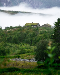 Fototapeta na wymiar Classic Scandinavian hut with grass roof in the woods in Norway