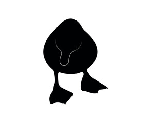 Vector flat duck silhouette isolated on white background