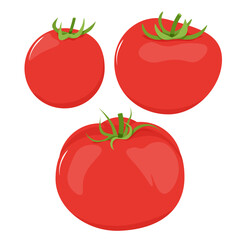 Set of three different red tomatoes