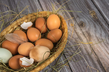 eggs in a basket