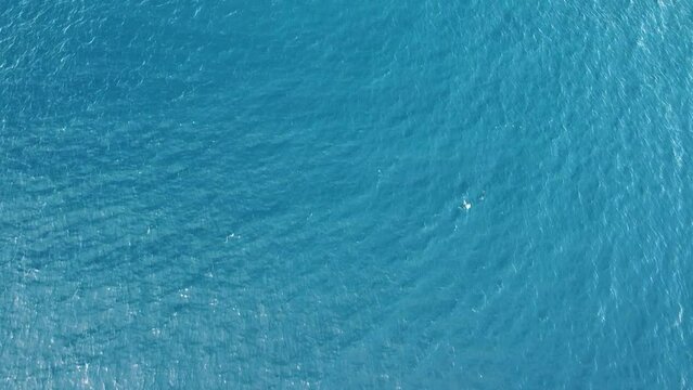 Therapeutic Birdseye View Of Cerulean Blue Ocean Water With Gentle Ripples