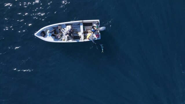 Birdseye view of fisherman fighting to catch yellowfin tuna, work together to gaff and bring fish aboard