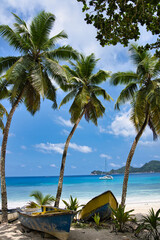 Coconut plam trees and boats near the beach of takamaka, Mahe Seychelles