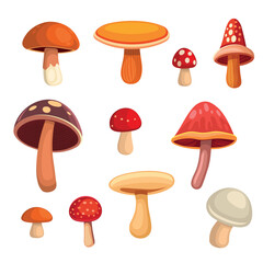 Cartoon Style Mushrooms Set on White Background. Vector