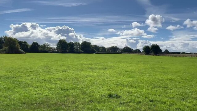 cute brown dog walking through a lovely massive feild in england, starting of the view of the dog and ending with the vast scope of the feild.