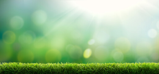 Fresh green garden grass lawn in spring, summer with bright bokeh of sun rays and blurred foliage...