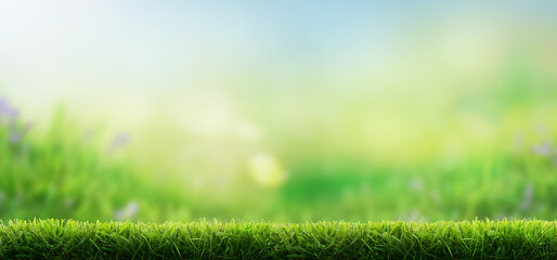 Plakat Fresh green garden grass lawn in spring, summer with bright bokeh of blurred foliage of springtime in the background