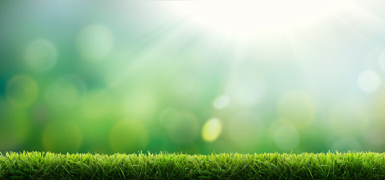 Fresh green garden grass lawn in spring, summer with bright bokeh of sun rays and blurred foliage of springtime in the background