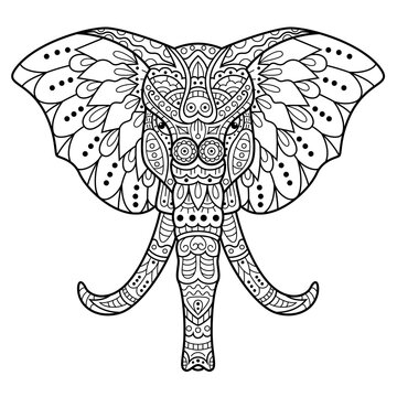 Hand drawn of elephant head in zentangle style
