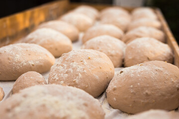 Fototapeta premium bread preparation. loaves of dough before baking