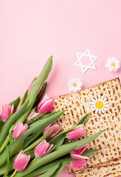 Jewish holiday Passover greeting card concept with matzah, nuts, tulip and daisy flowers on pink background.
