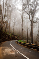 Obraz premium Mountain road bend in the cloudy fog.