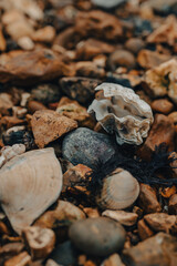 stones on the beach