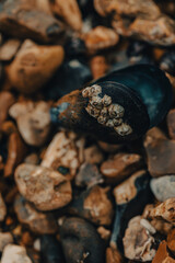 stones on the beach