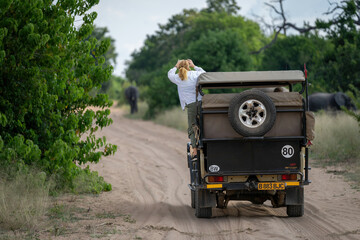 Guest photographs African elephant from outside jeep