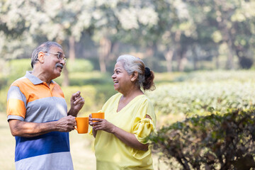 Happy indian senior couple enjoying life having fun at park
