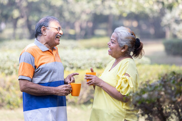 Fototapeta premium Happy indian senior couple enjoying life having fun at park
