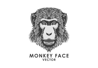 Vector muzzle of a monkey. Logo, sticker or icon. White isolated background.