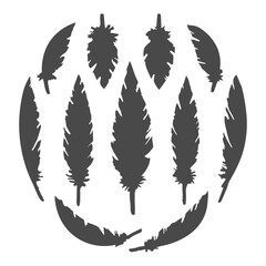 Black feathers silhouette set. Black feathers silhouette set.