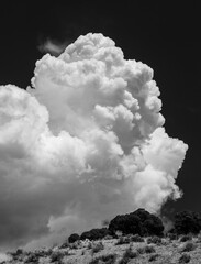 Billowing Over The Dunes