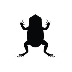 Frog icon