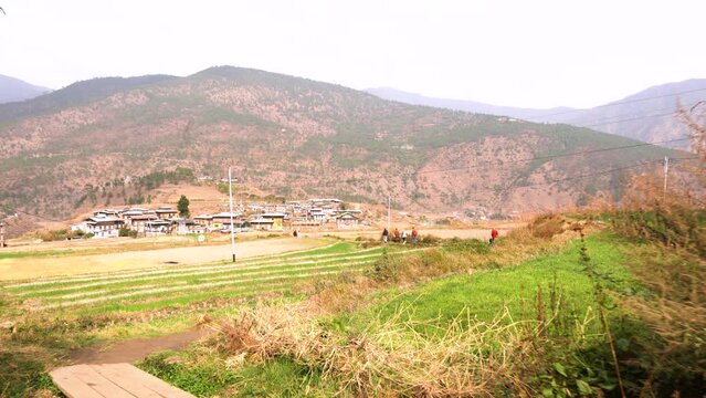 Agricultural fields of the village in Punakha Valley, Bhutan