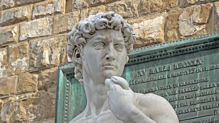 Copy of Statue Of David By Michelangelo In Piazza Della Signoria, Florence, Italy