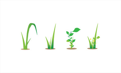 set of grass illustration vector design