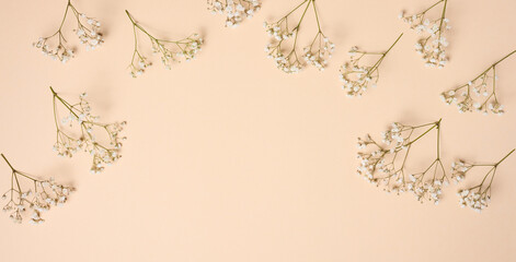 Gypsophilia branch with white flowers on a beige background, top view